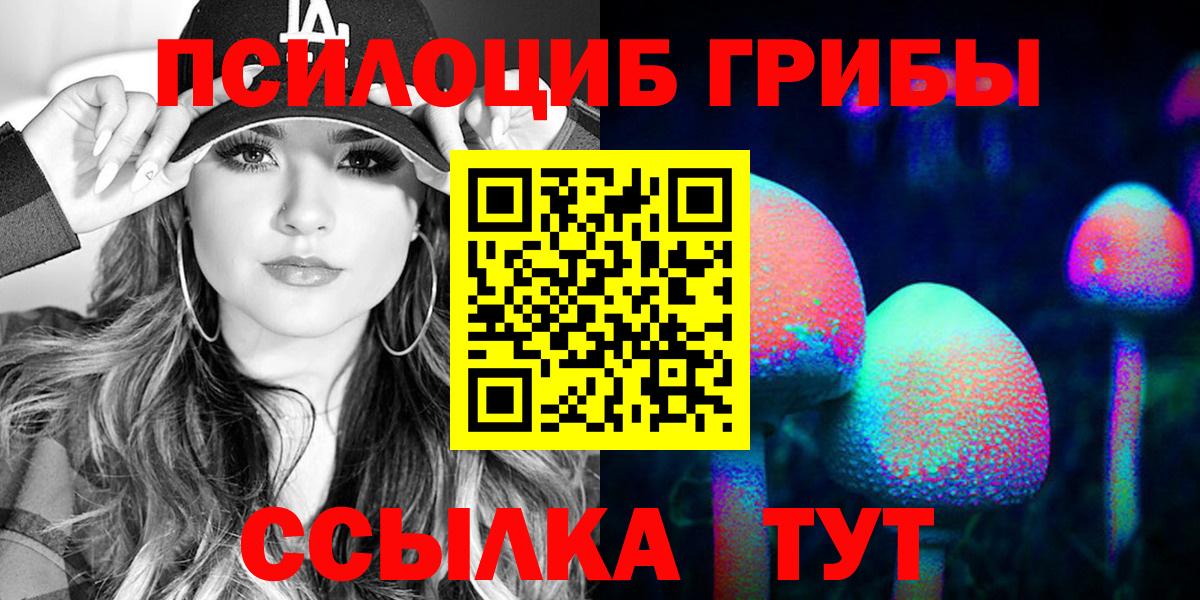 Галлюциногенные грибы Psilocybe  что такое   Ступино  Вход с VPN  Псилоцибиновые грибы мухоморы 
