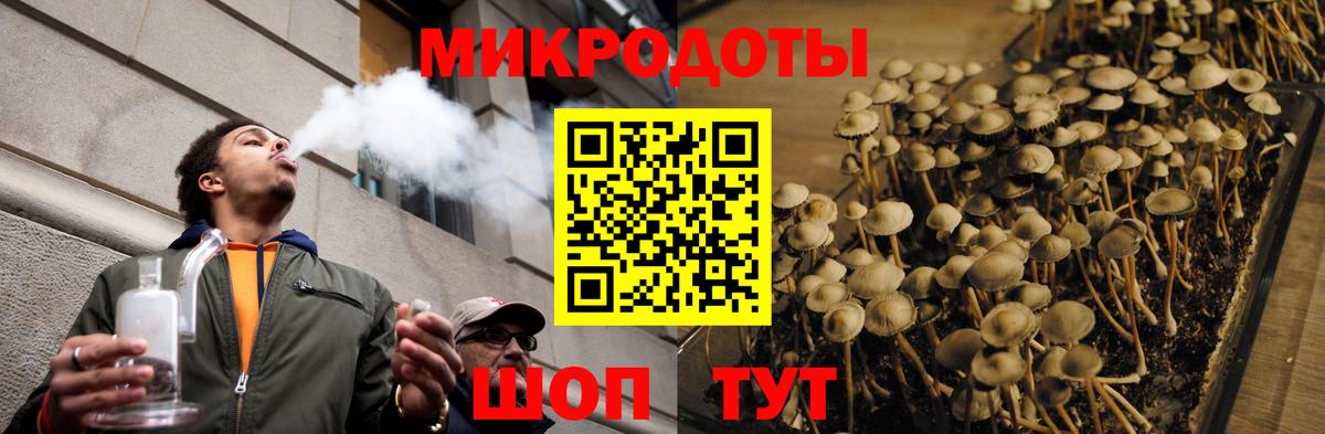 Псилоцибиновые грибы мицелий Ступино